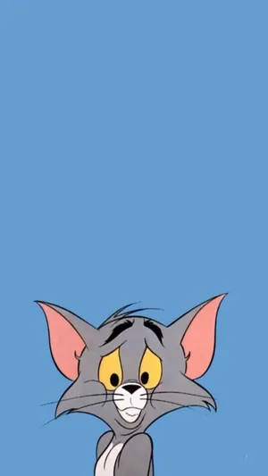 Tom Cat Cartoon Phone Wallpaper