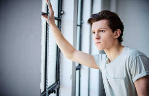 Tom Holland In Gray Shirt Wallpaper