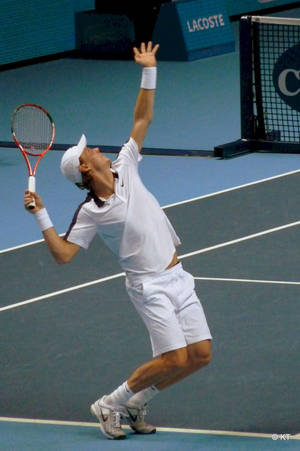 Tomas Berdych Serve Wallpaper