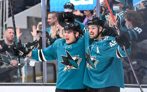 Tomas Hertl With Teammate Wallpaper