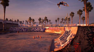 Tony Hawk Video Game Scene Wallpaper