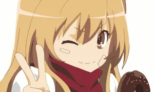 Toradora Anime Character Taiga Aisaka Wallpaper