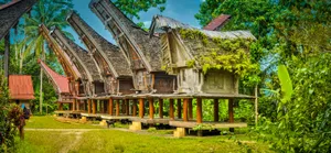 Toraja Huts In Sulawesi Wallpaper