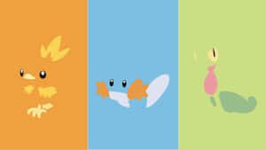 Torchic, Mudkip, Treecko Minimalist Illustrations Wallpaper