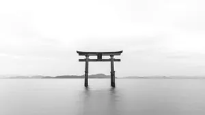Torii Gate Serenity Black White4 K Wallpaper