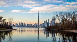Toronto Skyline From Islands Dusk Wallpaper