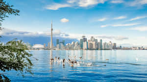 Toronto_ Skyline_ From_ Islands_ View Wallpaper