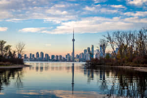 Toronto Skyline Reflections Toronto Islands Wallpaper