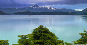 Torres Del Paine Lakeand Mountains Wallpaper