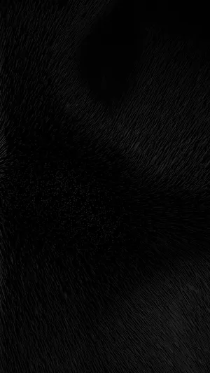 Total Black Fur Texture Phone Wallpaper