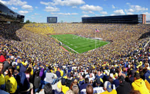 Touchdown, Michigan! Wallpaper