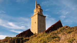 Tower Of Hercules In The Orange Grass Wallpaper