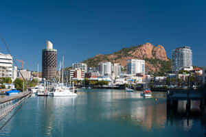 Townsville Marinaand Castle Hill Wallpaper