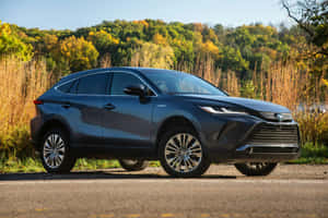 Toyota Venza Hybrid Side View Autumn Backdrop Wallpaper