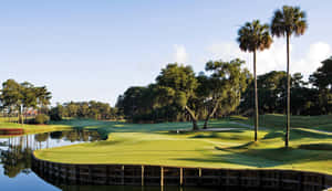 Tpc Sawgrass Golf Course Florida Golf Wallpaper