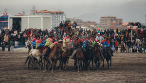 Traditional Afghan Sport - Buzkashi Game In Kabul Wallpaper