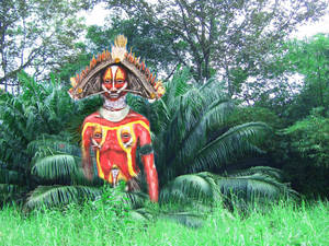 Traditional Body Art In Papua New Guinea Wallpaper