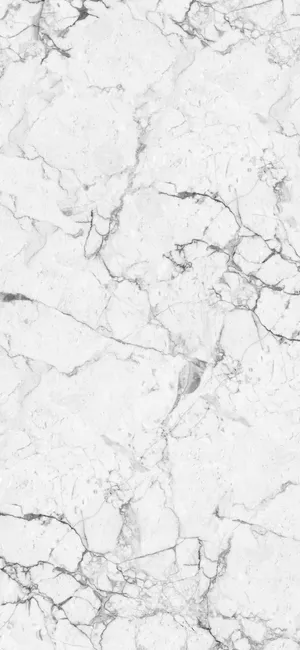 Traditional Calacatta Black White Marble Iphone Wallpaper