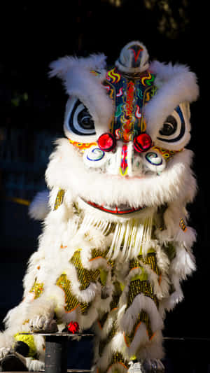 Traditional Chinese Lion Dance Costume Wallpaper