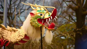 Traditional Dragon Dance Costume Wallpaper