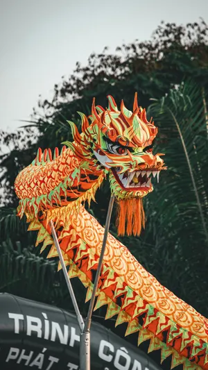 Traditional Dragon Dance Head Wallpaper