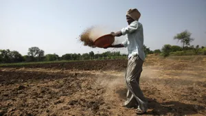 Traditional Farmer Sifting Soil Wallpaper