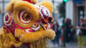 Traditional Lion Dance Costume Wallpaper