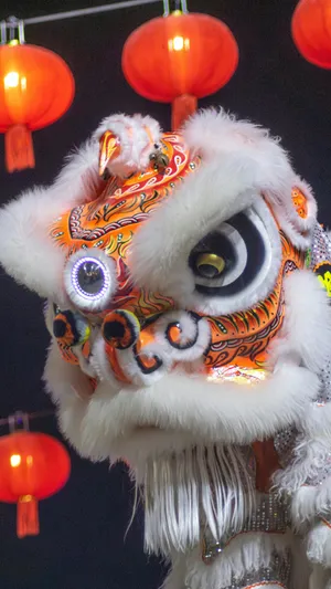 Traditional Lion Dance Costume Wallpaper
