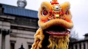 Traditional Lion Dance Costume Wallpaper
