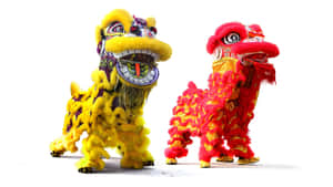 Traditional Lion Dance Costumes Wallpaper