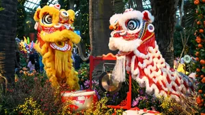 Traditional Lion Dance Performance Wallpaper