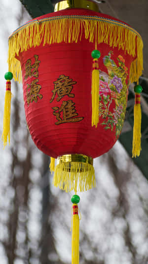 Traditional Red Lantern Spring Festival Wallpaper