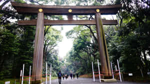 Traditional Shinto Shrine In Vibrant Forest Wallpaper