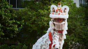 Traditional White Lion Dance Costume Wallpaper