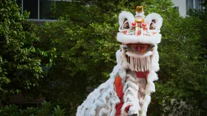 Traditional White Lion Dance Costume Wallpaper
