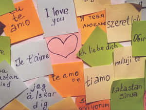 Traduction Of I Love You Wallpaper