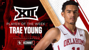 Trae Young Oklahoma Player Wallpaper