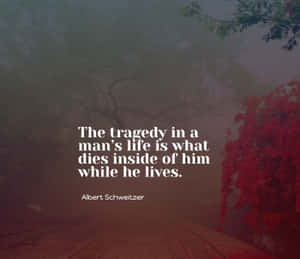 Tragedyof Life Quote Albert Schweitzer Wallpaper