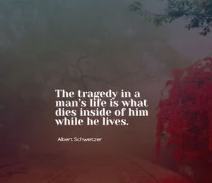 Tragedyof Life Quote Albert Schweitzer Wallpaper