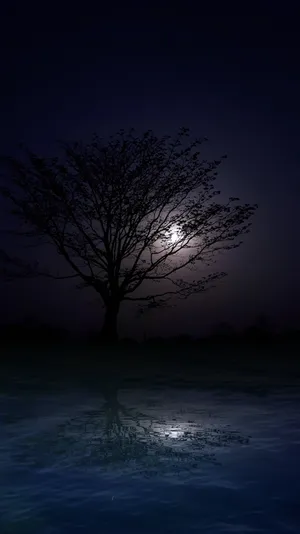 Tranquil Autumn Evening Along The River Wallpaper
