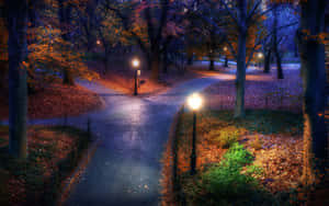 Tranquil Autumn Evening By The Lake Wallpaper