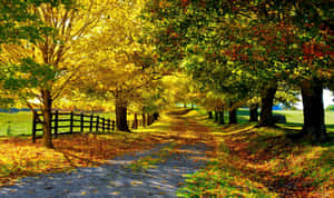 Tranquil Autumn Scene In Fall Country Wallpaper