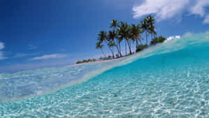 Tranquil Bahamas Beach Paradise Wallpaper