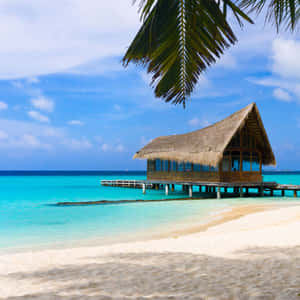 Tranquil Beach Getaway Paradise Wallpaper