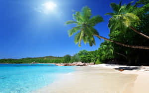 Tranquil Beach Getaway Wallpaper