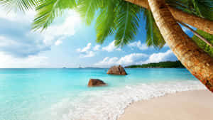 Tranquil Beach Holiday Escape Wallpaper