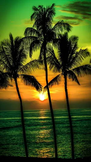 Tranquil Beach Paradise With Palm Trees Wallpaper