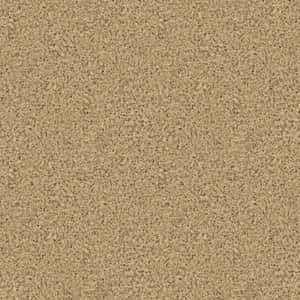 Tranquil Beach Sand Close-up Wallpaper