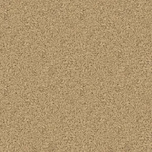 Tranquil Beach Sand Close-up Wallpaper