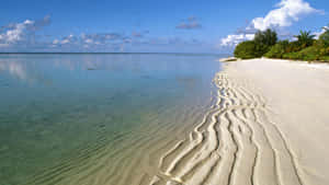 Tranquil Beach Sand Ripples Wallpaper